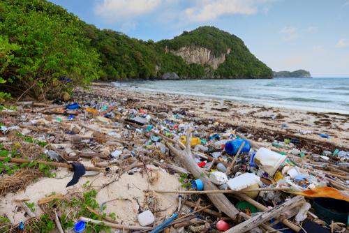 It’s Earth Day. Here’s what you can do to help.